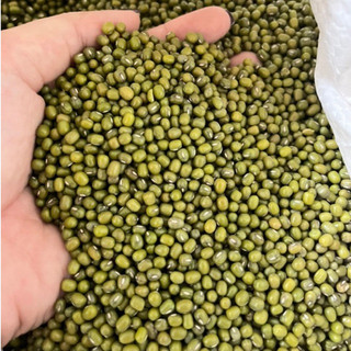 500gr hạt đậu xanh nhỏ, đậu mỡ làm giá (Sẵn kho nhận rang xay các loại)