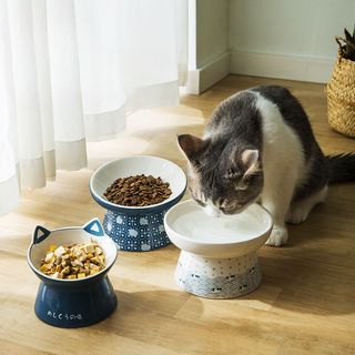 Khay ăn sứ chống mỏi cổ cho mèo khay ăn sứ chống gù cho chó mèo