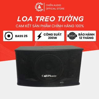 Loa treo tường Karaoke caliphate B90C  3loa: 1 Bass 25P100C25, 1 tép 3 inh, 1 tép 2.5 inh mành sắt (1 đôi)