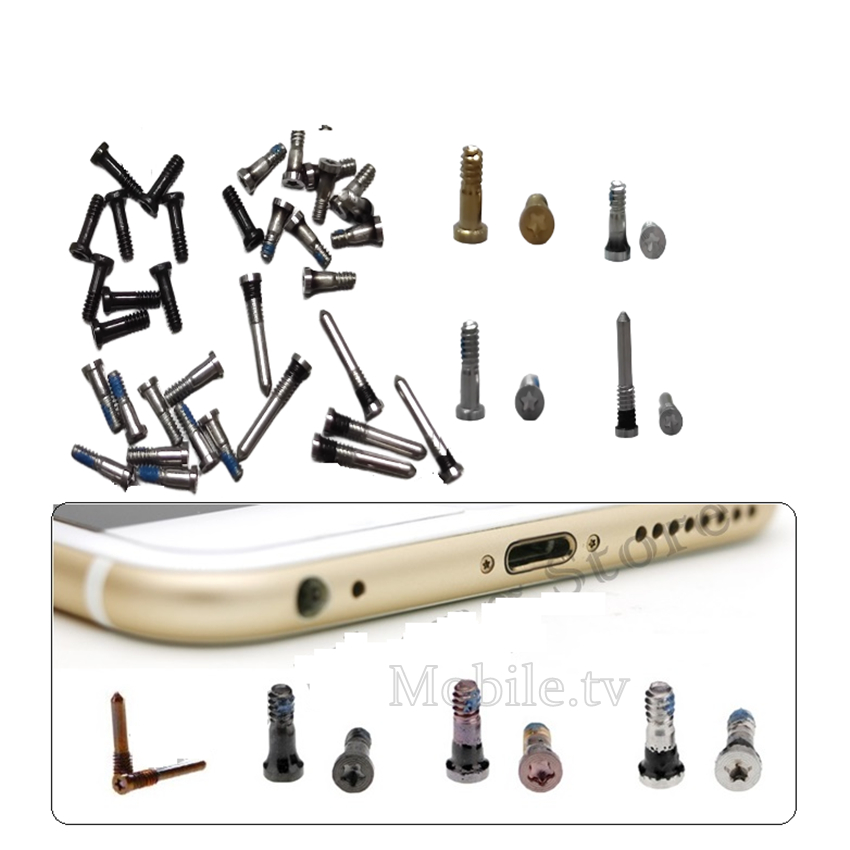 Ốc đuôi / ốc đít i.p (50c) đủ mã từ 4-15 | Đủ màu  | Giá rẻ