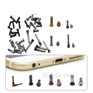 Ốc đuôi / ốc đít i.p (50c) đủ mã từ 4-15 | Đủ màu  | Giá rẻ