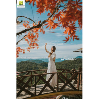Cành lá phong giả lụa đẹp trang trí cao cấp