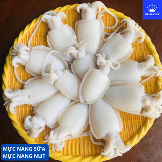 Mực nang nut HAISANVUA nang sữa 10-15 con kg Làm sạch thịt dày vị ngọt [ Giao hỏa tốc Hồ Chí Minh ]