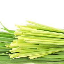 Tinh dầu Sả Java (Citronella java)