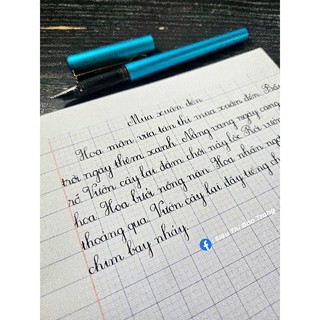 Combo  4 BÚT CHO HS LỚP 1