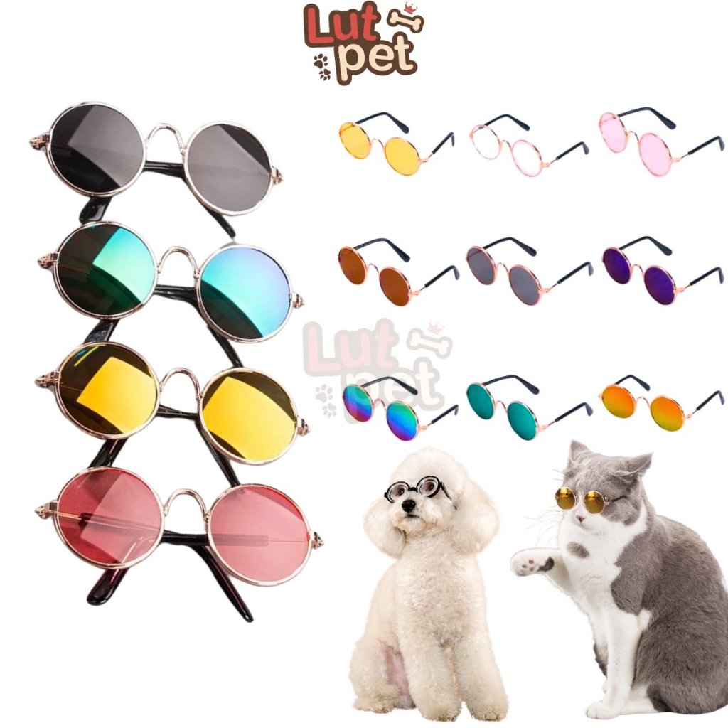Kính mắt chó mèo - Mắt Kính thời trang chó mèo - Kính râm cho cún - lutpet