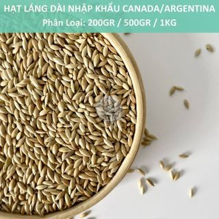 - hạt láng dài nhập khẩu canada/ argentina - vẹt, hamster, yến hót..