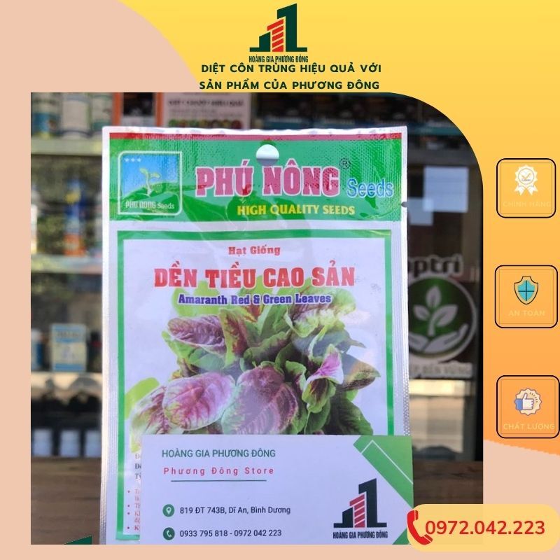 Hạt giống dền tiều 20g