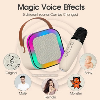 LOA KARAOKE MINI BLUETOOTH ( 1 loa xách tay mini + 2 mic )