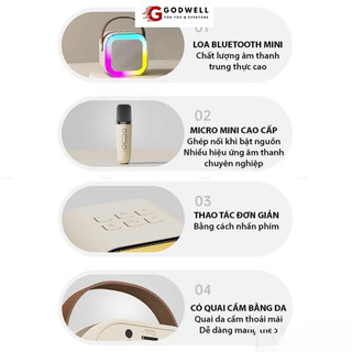 LOA KARAOKE MINI BLUETOOTH ( 1 loa xách tay mini + 2 mic )