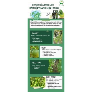 Dầu gội thảo dược dân gian TMH