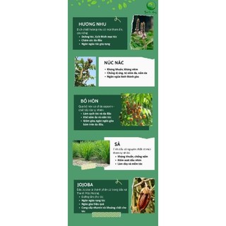 Dầu gội thảo dược dân gian TMH