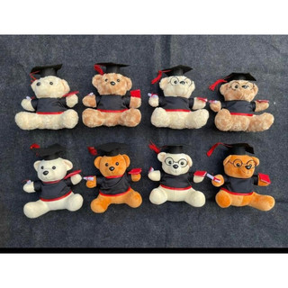 set gấu bông tốt nghiệp