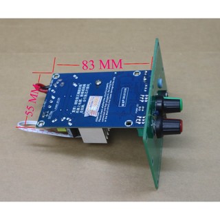 Mạch Sub Mini 100W Mod Mặt Phíp CLASS D TPA3116D2