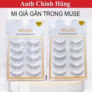 Lông mi giả gân trong, mi gân trong muse cao cấp
