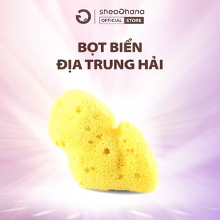 Bọt biển Fine Silk (size S/M/L)