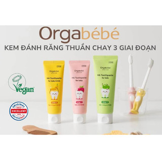 Kem đánh răng Thuần chay 3 giai đoạn Orgabébé