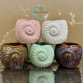Chậu trồng cây cảnh, cây bon sai, dáng ốc