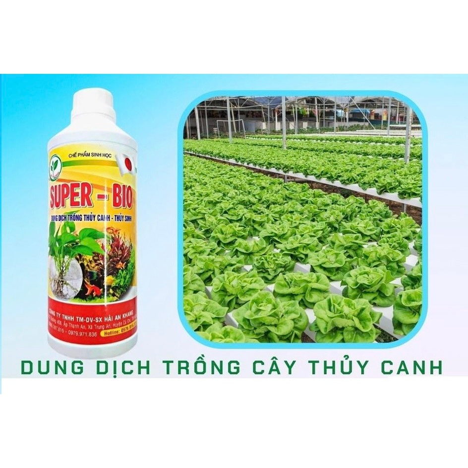 Dung dịch thuỷ canh Chai 1 lít Super  - Bio