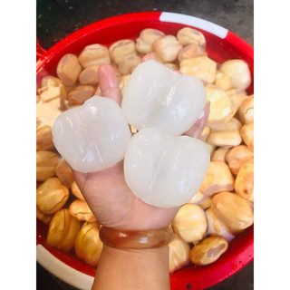 thốt nốt tươi