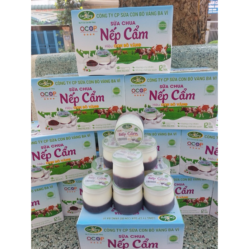 sữa chua con bò vàng