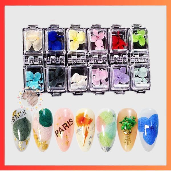 Hoa khô tự nhiên trang trí móng