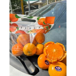 [ JENNY FRUIT ] Quýt úc túi 1kg ngon ngọt