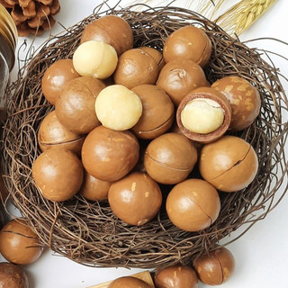 Hạt macca sấy chín size to, loại 1, hạt mắc ca Tây Nguyên, sẵn đồ khui hạt - 1kg/500g