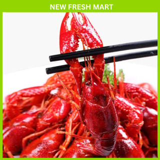 [Giao nhanh HCM] Tôm Hùm Đất Crawfish Size Nhỏ - 2,5kg/túi