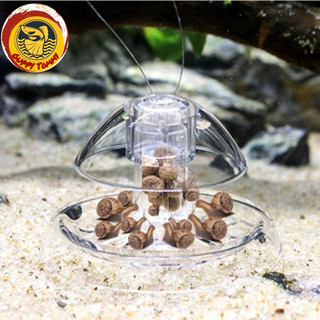 Bẫy ốc hại trong hồ thuỷ sinh