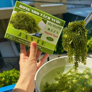 Hộp 120gr {4 gói x 30g} Rong Nho Tách Nước Khánh Hòa + Tặng kèm 2 gói xốt mè rang