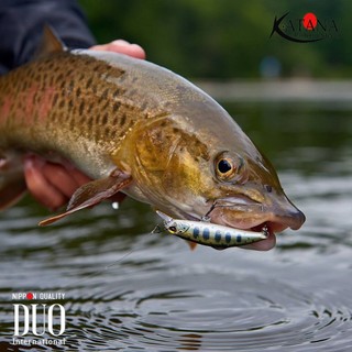 Mồi Câu Lure DUO SPEARHEAD RYUKI 71S