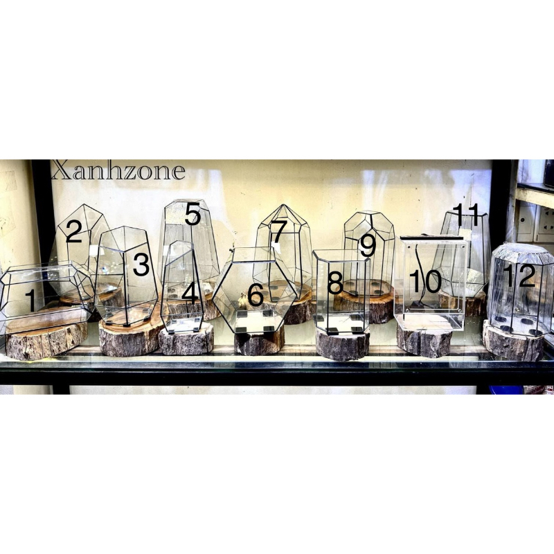 24 mẫu bể kính terrarium ( tặng kèm rêu )