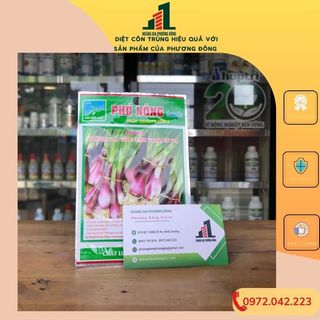 Hạt giống hành lá gốc đỏ 2g