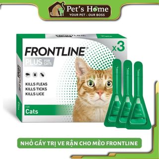 Hộp 3 tuýp Frontline Plus nhỏ gáy ve rận cho mèo