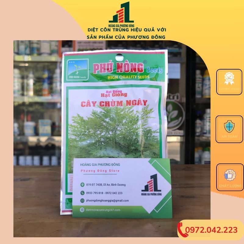 Hạt giống chùm ngây 1g
