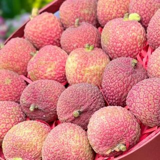 CÂY GIỐNG VẢI THIỀU
