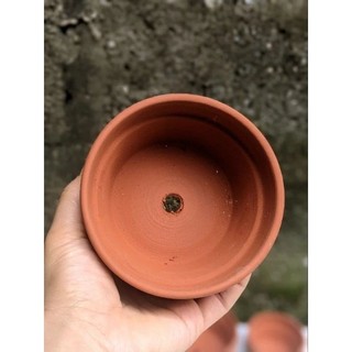Chậu Đất Nung Dáng Gờ Thấp Bát Tràng Size Nhỏ