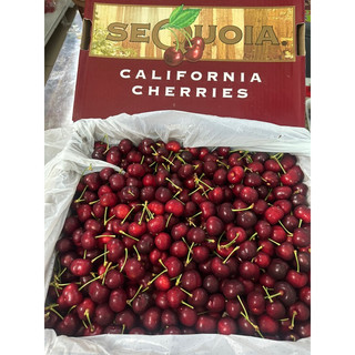 Cherry Mỹ sz 9.5 hàng mới về