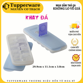 Khay đá Fresh n Pure - Tupperware chính hãng