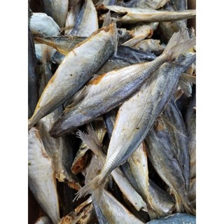 1kg CÁ NỤC khô mặn