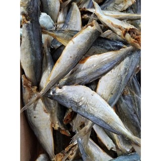 1kg CÁ NỤC khô mặn