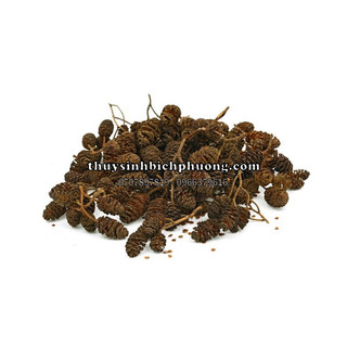 TRÁI ALDER CONES - CÂN BẰNG PH _ KÍCH THÍCH SINH SẢN _ ỔN ĐỊNH VI SINH HỒ CÁ TÉP THUỶ SINH