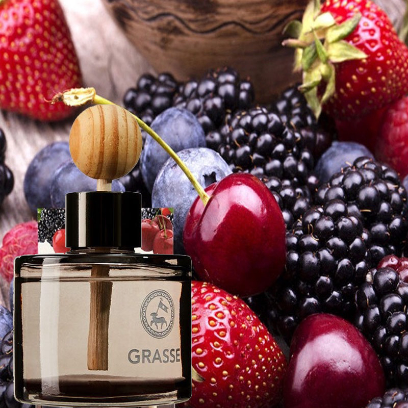 NƯỚC HOA XE HƠI GRASSE