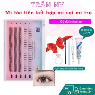Mi tóc tiên kết hợp mi sợi mi trụ T05 siêu mảnh mi tóc tiên tự nối mix size trang điểm tự nhiên tranny_lenscontact