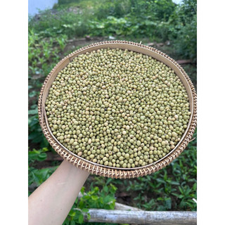 Đậu nành xanh thuần chủng 500g