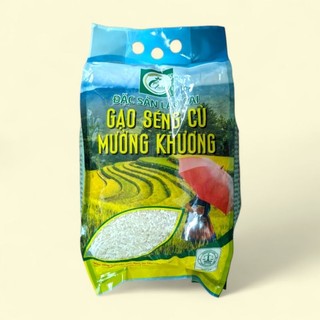 Gạo séng cù mường vi - mường khương lào cai