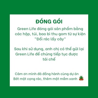[Sỉ Sen Đá] Combo Sen Đá