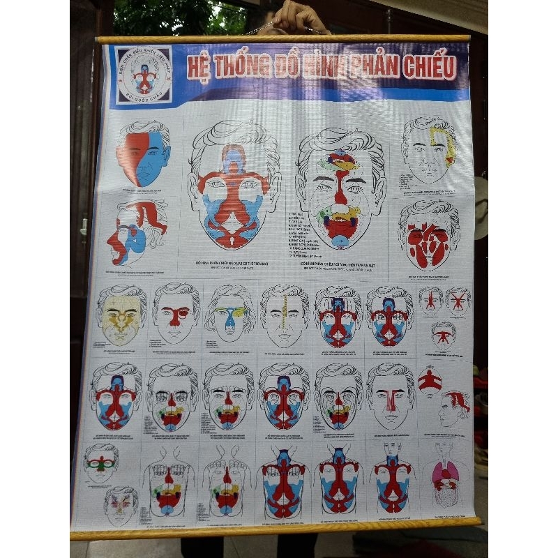 Tranh diện chẩn - dụng cụ diện chẩn