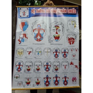Tranh diện chẩn - dụng cụ diện chẩn